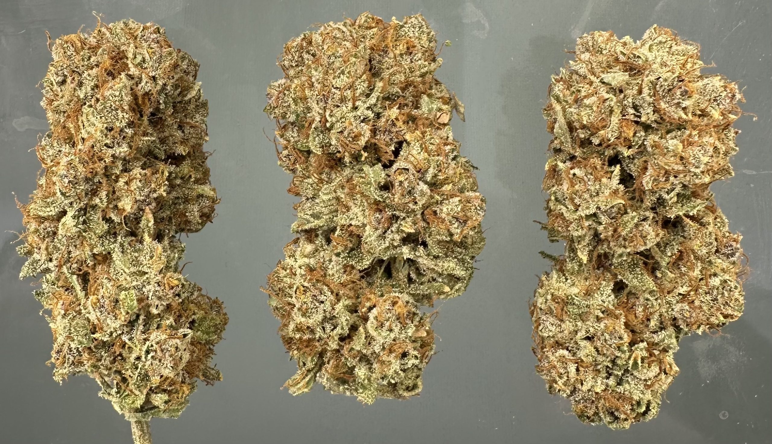 Legendary Platinum OG