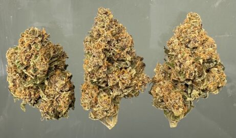 Pink Panther