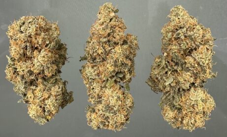Sapphire Kush