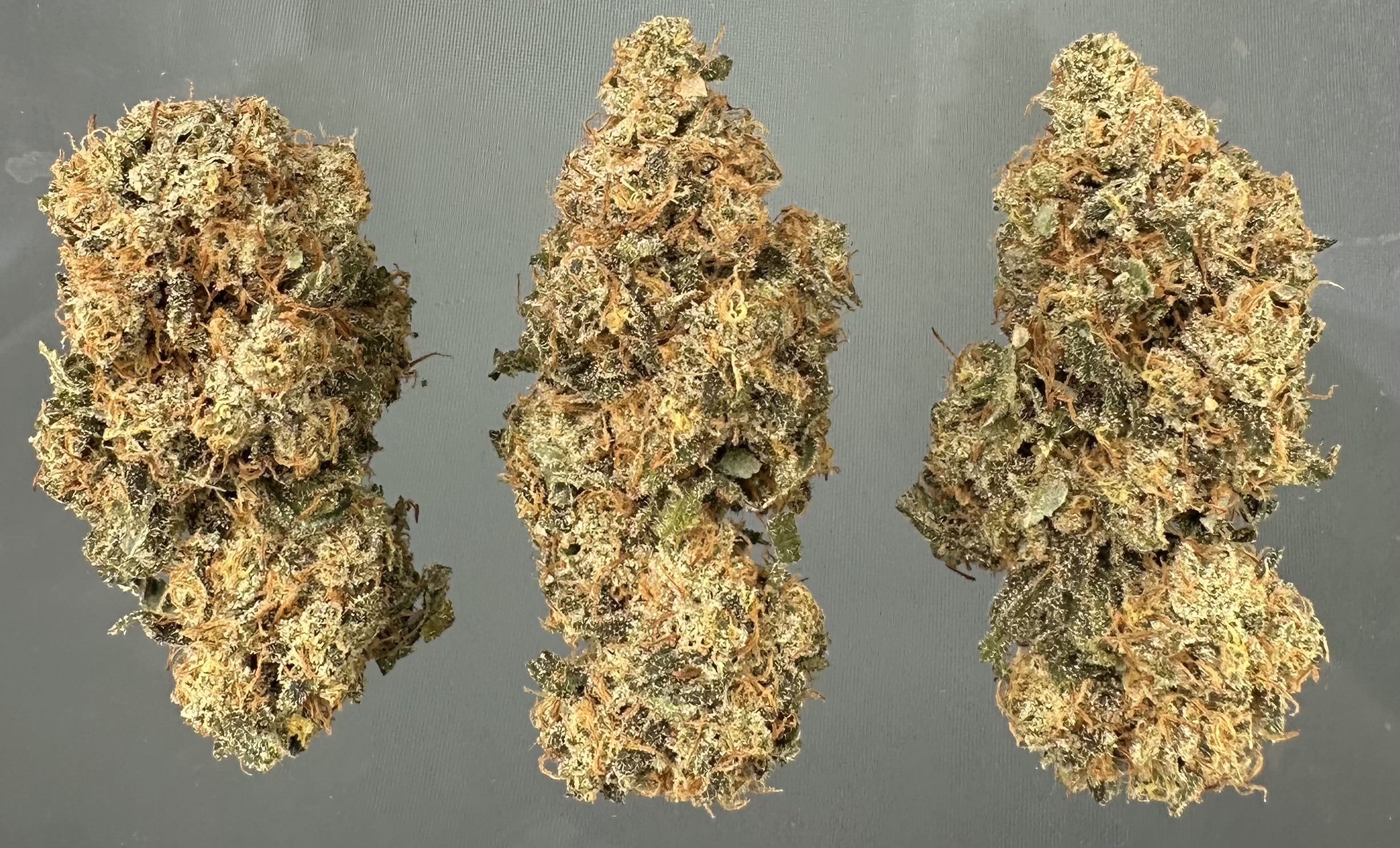 Sapphire Kush